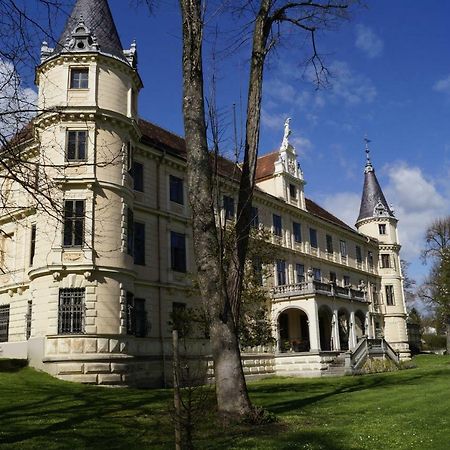 Schloss Puchberg فيلس المظهر الخارجي الصورة